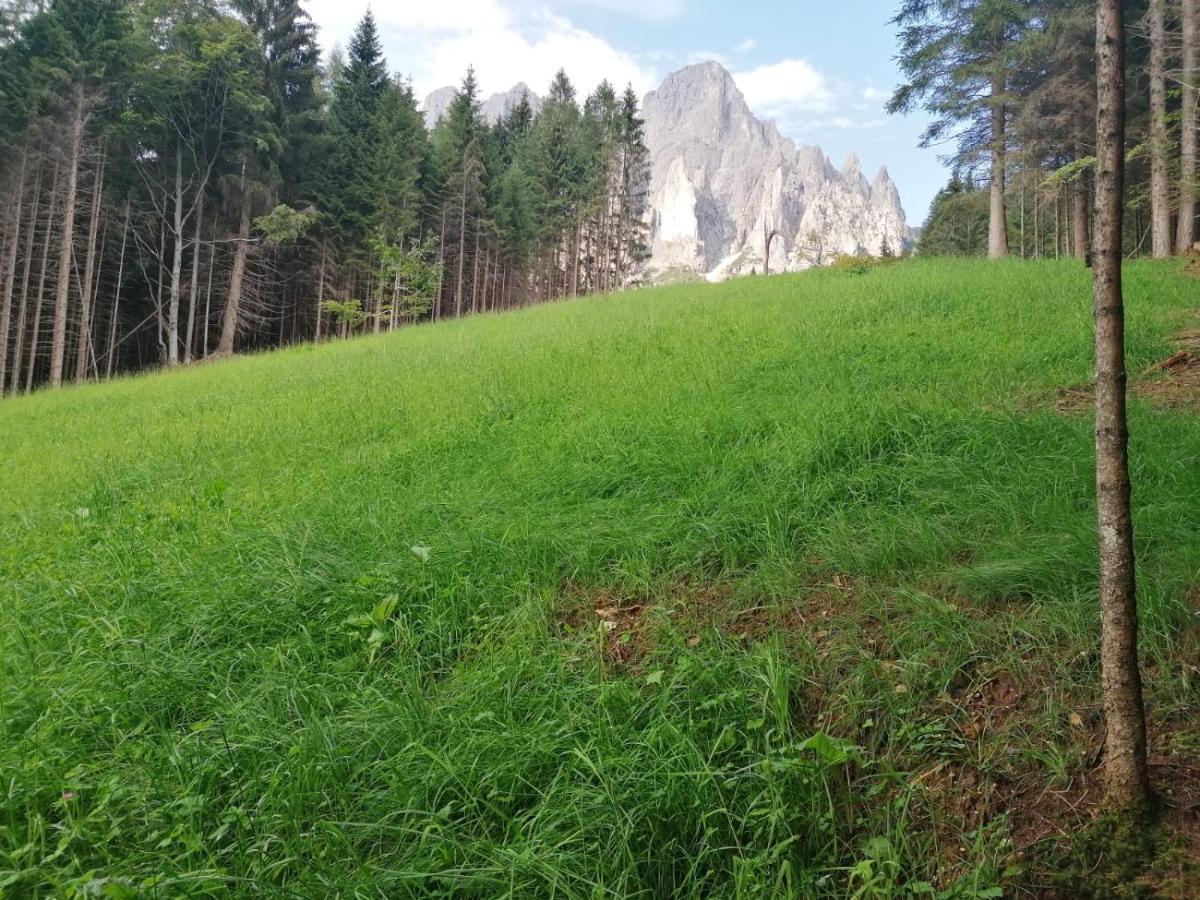 Pra Petina Pale Di San Martino