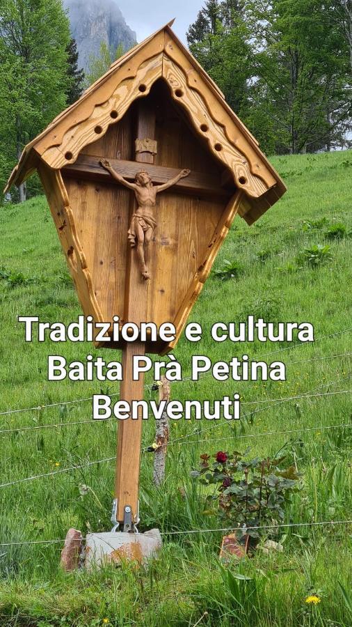 Pra Petina Pale Di San Martino